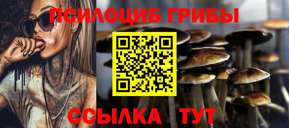 продажа наркотиков  Псилоцибиновые грибы Psilocybine cubensis  Вход с VPN  Кореновск 